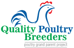 Quality Poultry Breeder